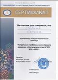 Сертификат за участие в научно-практическом семинаре "Актуальные проблемы волонтерского движения в Институте детства ФГБОУ ВПО "НГПУ", 2014г. Сертификат за участие в научно-практическом семинаре "Актуальные проблемы волонтерского движения в Институте детства ФГБОУ ВПО "НГПУ", 2014г.
